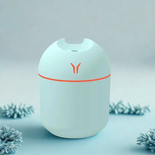 Cute Cool Mist Humidifier with LED Light